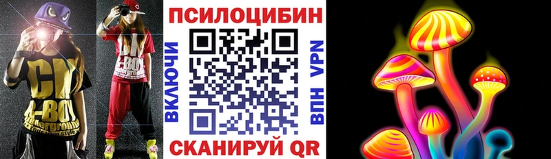 магазин продажи наркотиков  Елизово  Псилоцибиновые грибы Magic Shrooms 